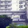 鵜鷺追いし多摩川　＃６　再発見