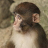 DSC01807