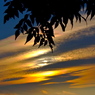 秋の夕暮れ時