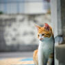 ふぅ・・・・