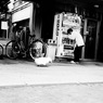 日常に溶け込んだ