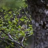 IMG_4030