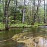 IMG_4328