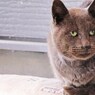 ひさしぶり・・・