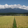 鳥海山と２０１５秋の実り