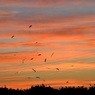 わたしの好きな夕暮れ