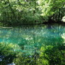 青と緑の丸池様-1