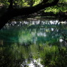 青と緑の丸池様-2
