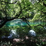 青と緑の丸池様-6