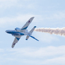 Aileron Rolls at Very low Altitude 2