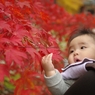 紅葉見に行きました(6か月)