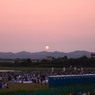 長岡花火　2015