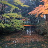 紅葉橋なう
