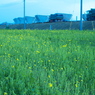 圏央道4