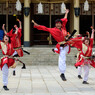 仮称 Dancing Mushrooms