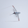 2015小松航空祭29