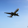 飛行機