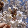 Spring has come!