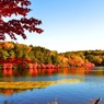 紅葉を見に行こうよう(*´з`)～其の参～