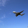 飛行機