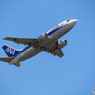 飛行機