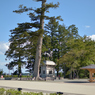 青葉城