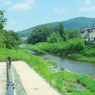 IMGP1533