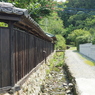 IMGP1540