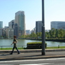 DSC01334