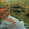 Autumn of the inlet