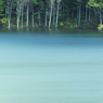 Shade of the water