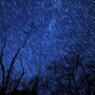 Blizzard of the star