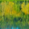 Palette of the autumnal scenery