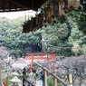 DSC04377