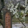 DSC04623