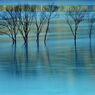 Pale blue city