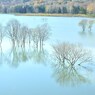 晩秋 : Late fall