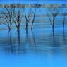 Blue city