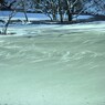 風雪の紋