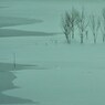 氷雪原野　 The ice and snow wilderness