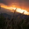 夕焼け