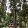 「こきりこ祭り」白山宮境内へ