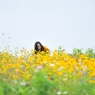 Girl in the wind
