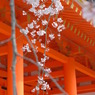 三十三間堂　東大門