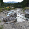 高島市散歩　蛙岩