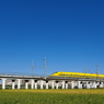 ドクターイエローとの遭遇５７（青空と稲穂）
