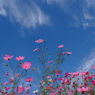 十月の空