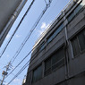 snap0317_008
