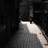snap0317_013