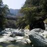snap0319_007